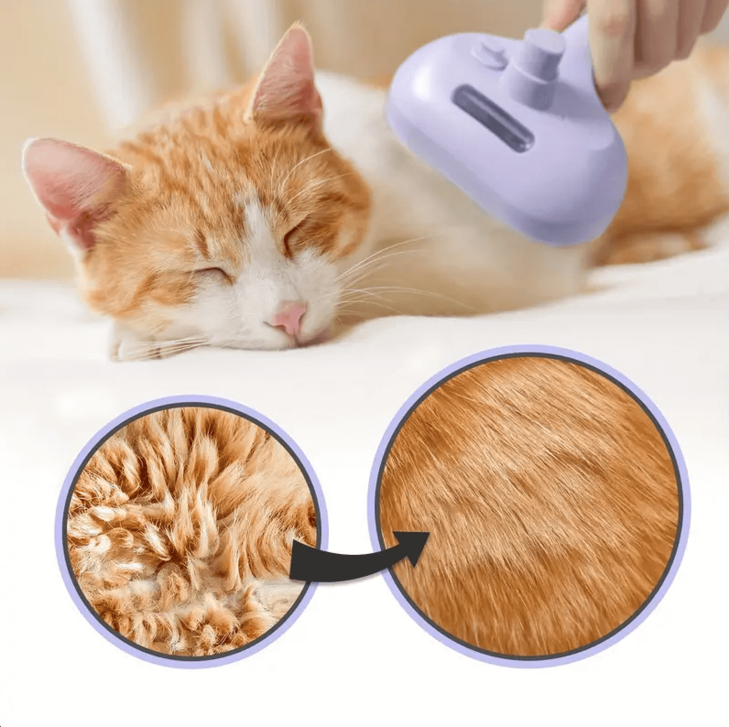 BROSSE 3 EN 1 CHAT