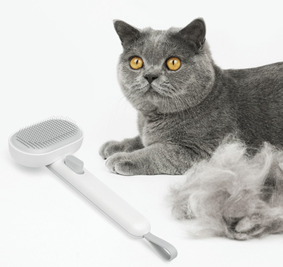 BROSSE 3 EN 1 CHAT