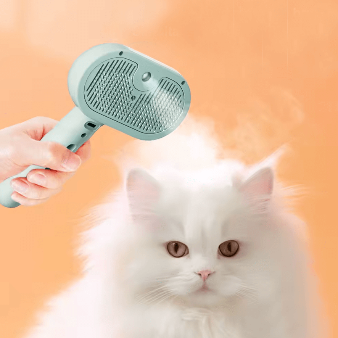 BROSSE 3 EN 1 CHAT