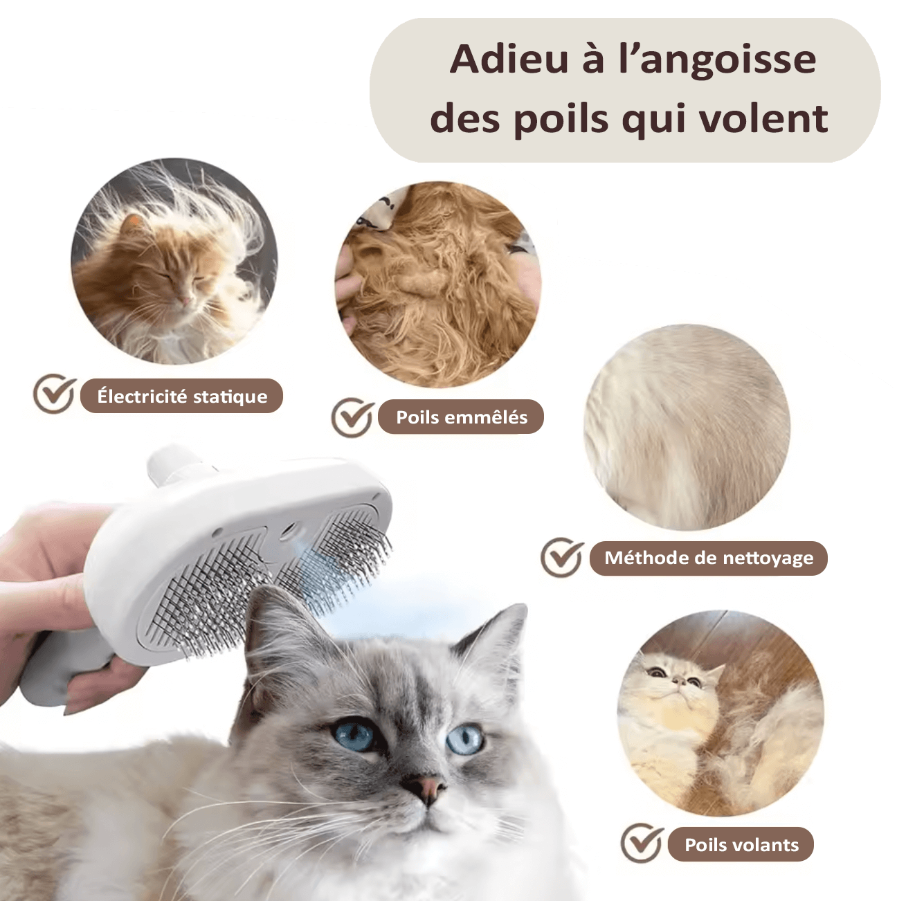 BROSSE 3 EN 1 ANIMAUX