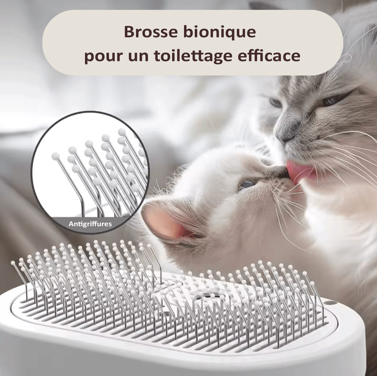 BROSSE 3 EN 1 ANIMAUX
