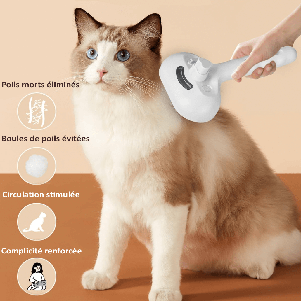 BROSSE 3 EN 1 ANIMAUX