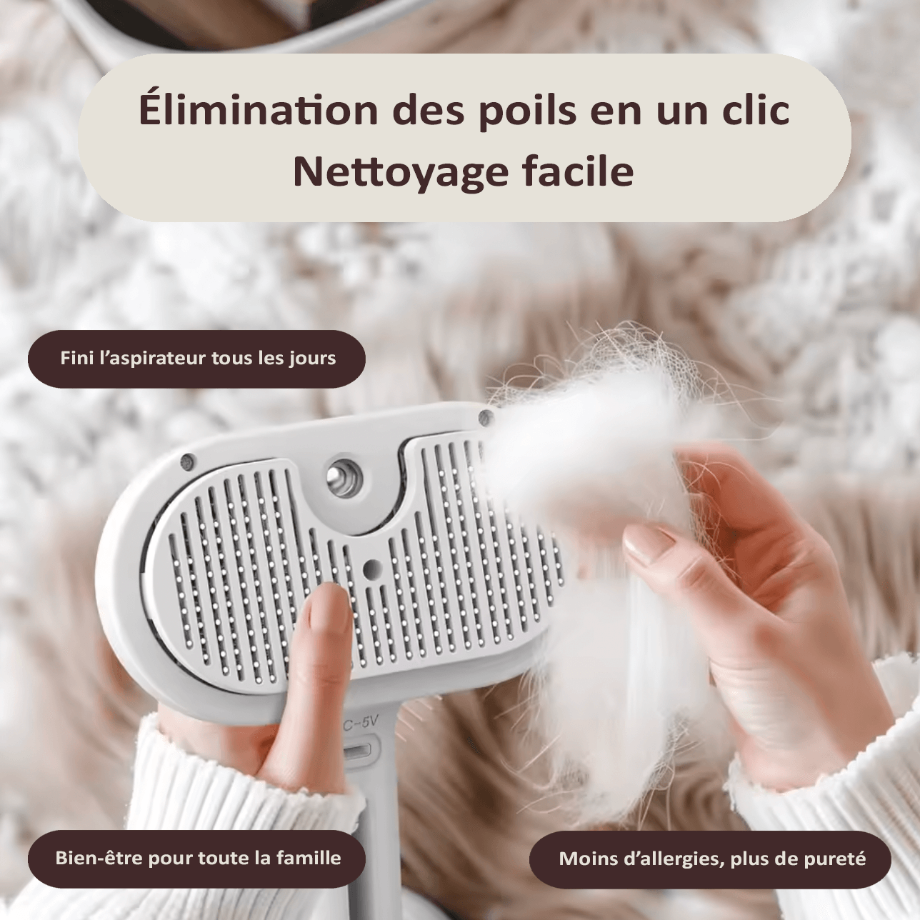BROSSE 3 EN 1 ANIMAUX