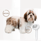 BROSSE 3 EN 1 ANIMAUX