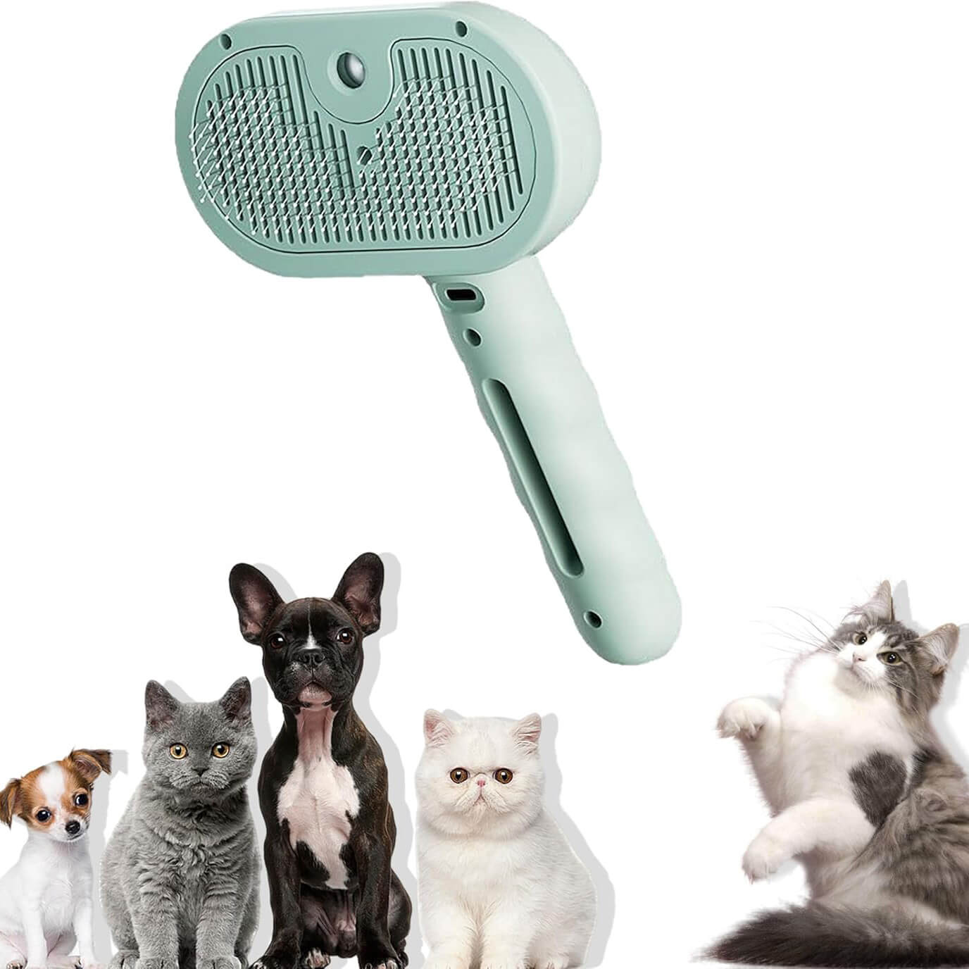 BROSSE 3 EN 1 ANIMAUX