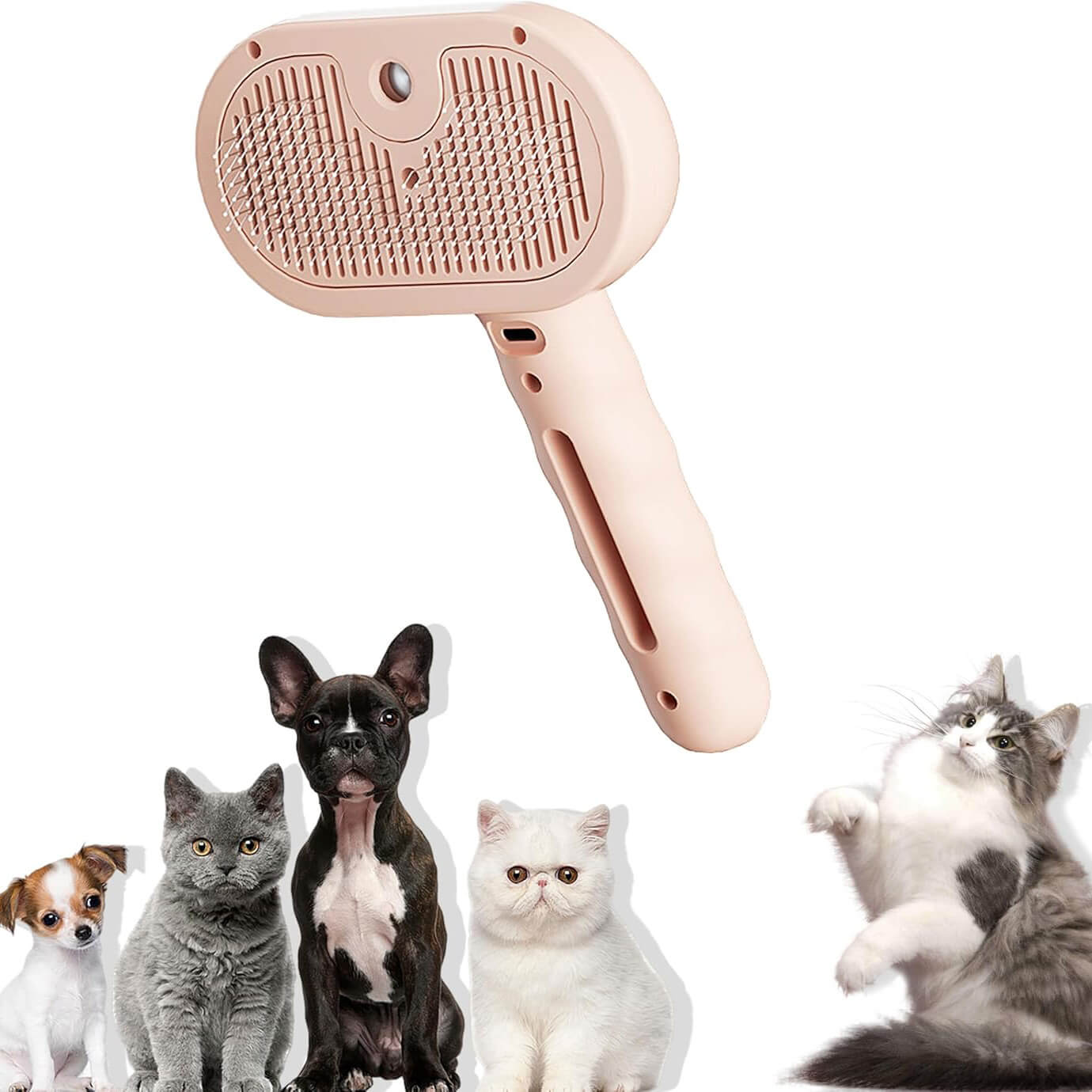 BROSSE 3 EN 1 ANIMAUX