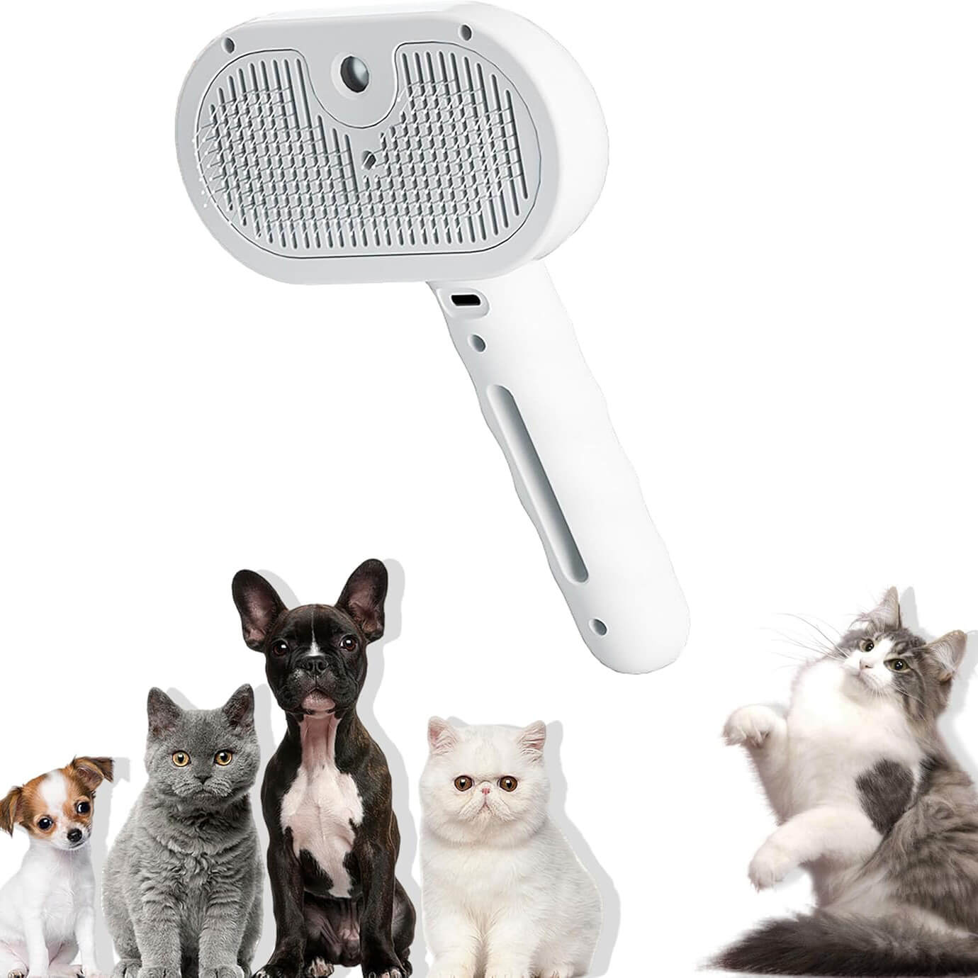 BROSSE 3 EN 1 ANIMAUX